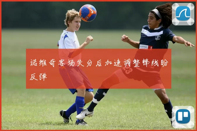 诺维奇客场失分后加速调整锋线盼反弹