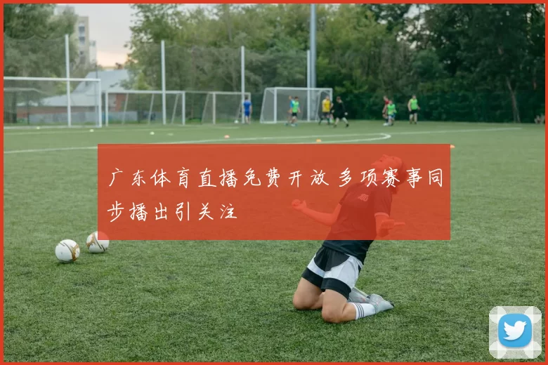 广东体育直播免费开放 多项赛事同步播出引关注
